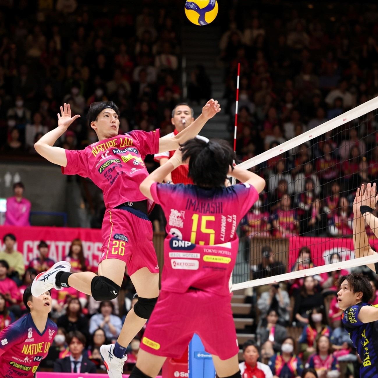 被打脸了！本赛季的布朗和绿军，有多出色？