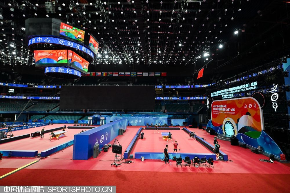 为什么高手更稳定（高手为何更稳）